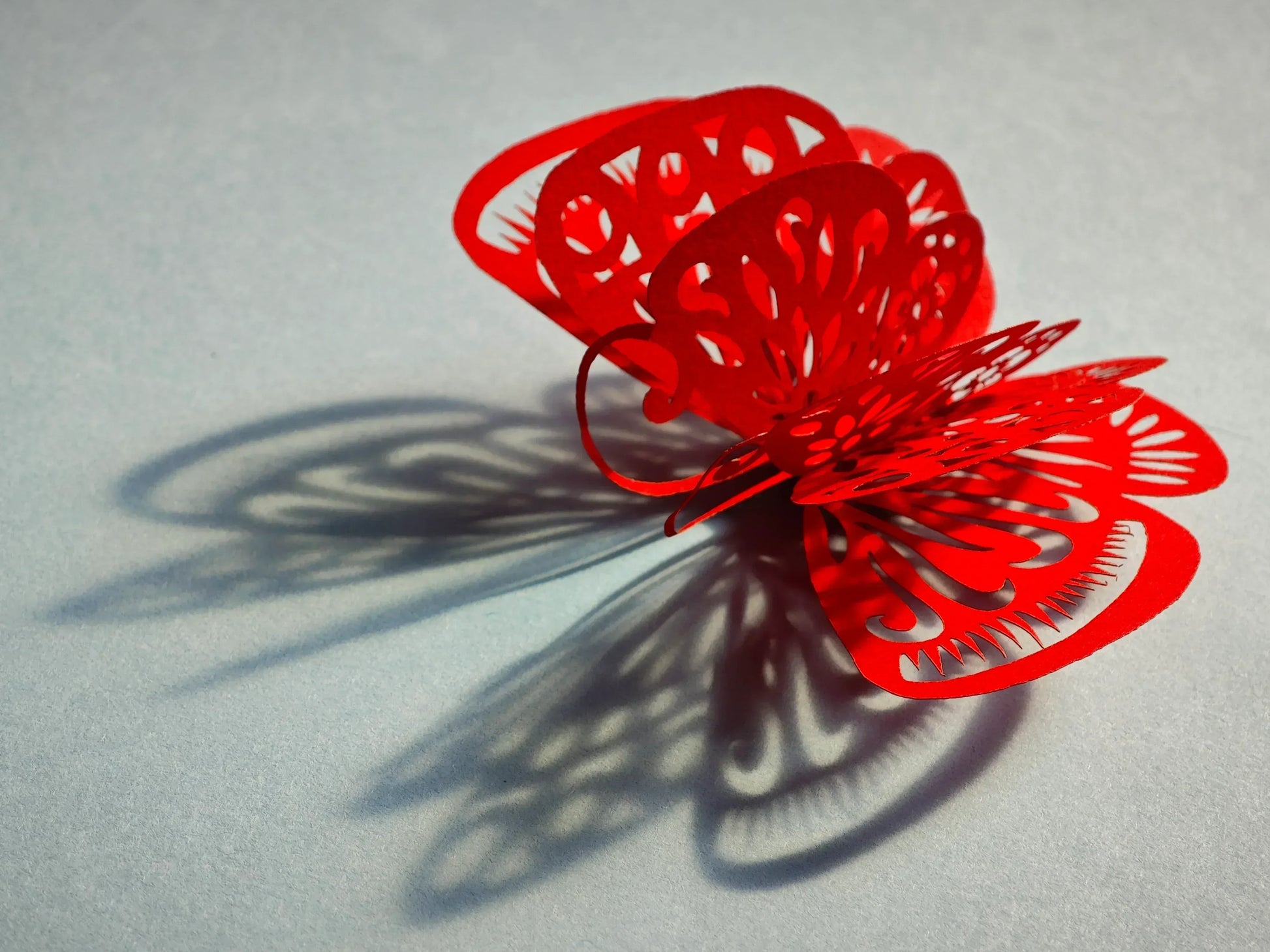 Paper Art Course 6 | Butterfly Brooch | Craft Wearable Luck & Beauty - Silkpathcraftsmen Company